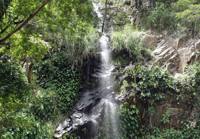 Cachoeira do Pinga - assisbarbosa