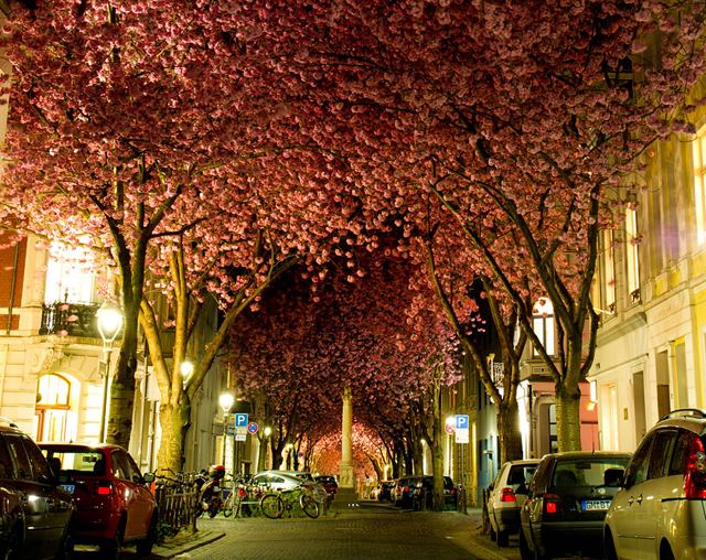 Street in Bonn - Alemanha